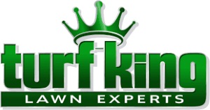Turf King logo
